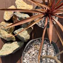 グリーン（みどり・緑蛇紋岩）