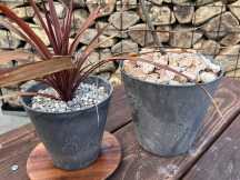 秋穂（錆）使用例