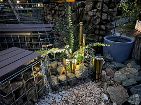 ロックガーデン