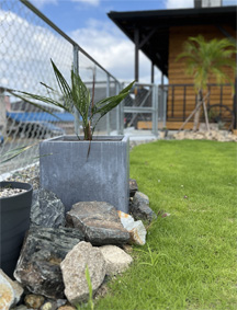 ロックガーデン