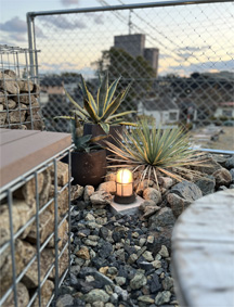 ロックガーデン